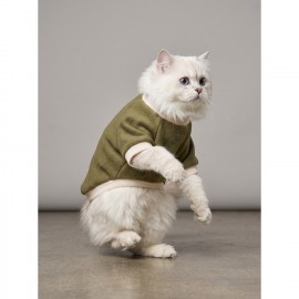 Natura Cozy Pati & Yastık | Nefti Yeşil Polar Kedi Sweatshirt ve Mini Yastık | 2 Parça