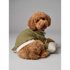 Natura Cozy Pati & Yastık | Nefti Yeşil Polar Köpek Sweatshirt ve Mini Yastık | 3 Parça