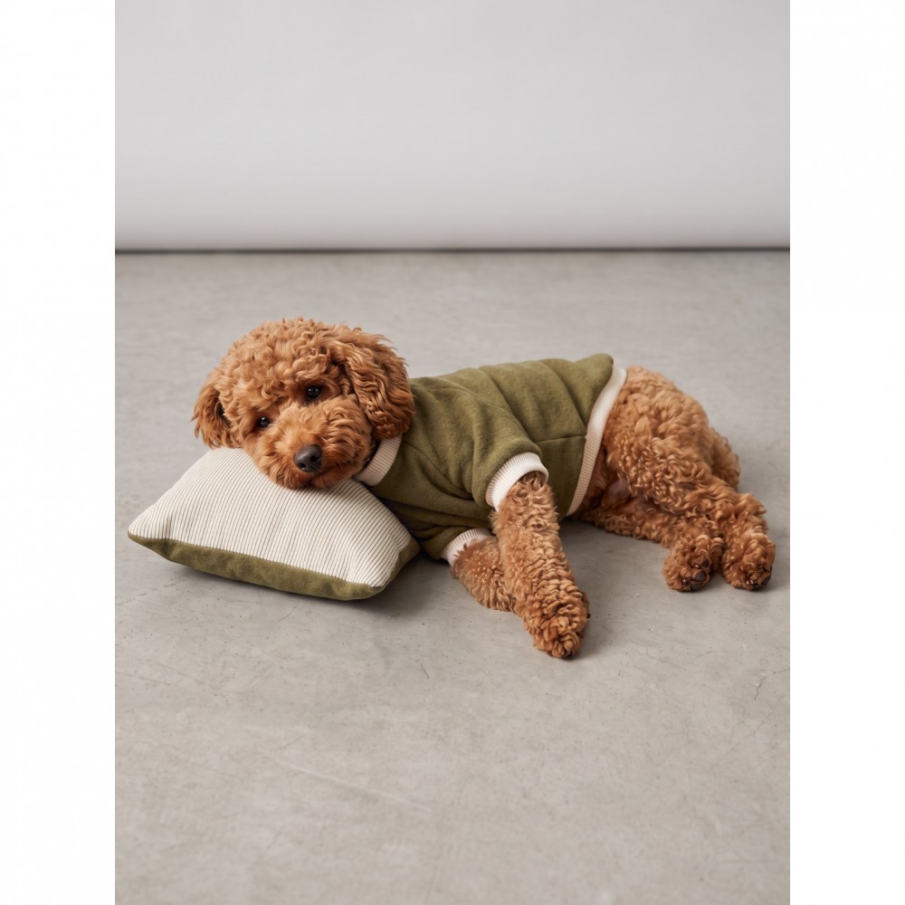 Natura Cozy Pati & Yastık | Nefti Yeşil Polar Köpek Sweatshirt ve Mini Yastık | 3 Parça