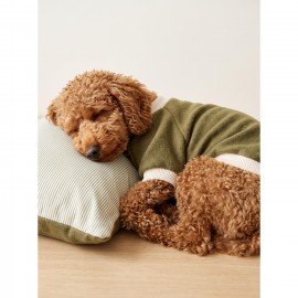 Natura Cozy Pati & Yastık | Nefti Yeşil Polar Köpek Sweatshirt ve Mini Yastık | 3 Parça