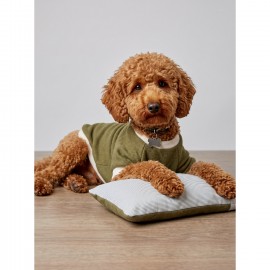 Natura Cozy Pati & Yastık | Nefti Yeşil Polar Köpek Sweatshirt ve Mini Yastık | 3 Parça