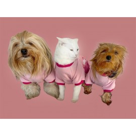 Nature Pink Oval Yaka Tişört Köpek Kıyafeti
