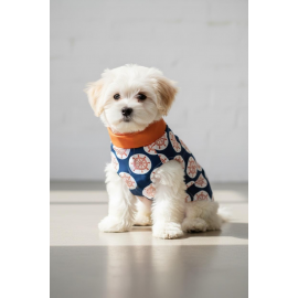 Navigator Küçük Köpek Yağmurluk Ceket