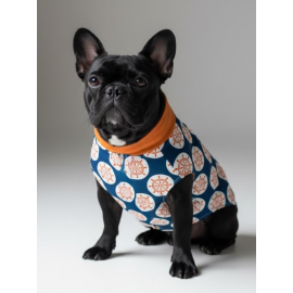 Navigator Küçük Köpek Yağmurluk Ceket