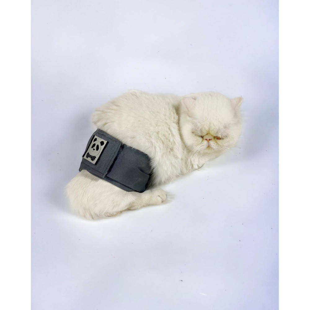 Kedi Çiş Bel Bandı Yıkanabilir Sızdırmaz Kedi Kıyafeti