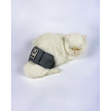 Kedi Çiş Bel Bandı Yıkanabilir Sızdırmaz Kedi Kıyafeti