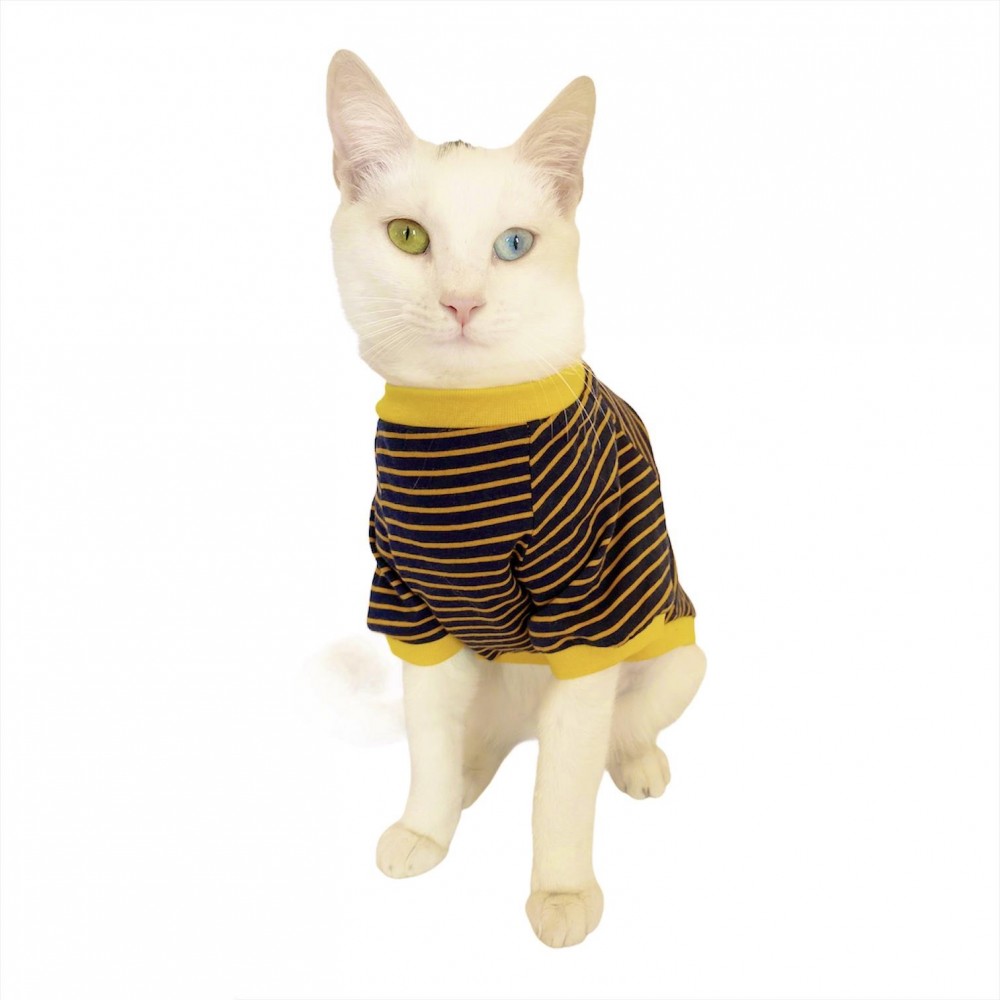 Navy Bee Stripes Oval Yaka Tişört Kedi Kıyafeti Kedi Elbisesi