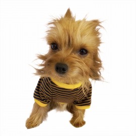 Navy Bee Stripes Oval Yaka Tişört Köpek Kıyafeti Köpek Elbisesi