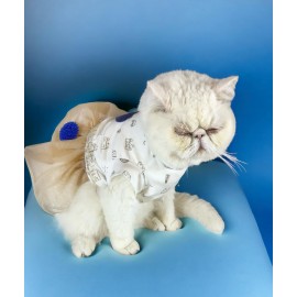Navy Creamy Tütülü Kedi Elbisesi, Kıyafeti Tutu