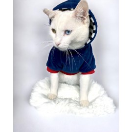 Neo Tommie Kapşonlu Kedi Sweatshirt Kedi Kıyafeti Kedi Elbisesi Kedi Giyim 