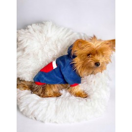 Neo Tommie Kapşonlu Köpek Sweatshirt Köpek Kıyafeti Köpek Elbisesi