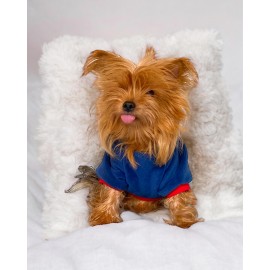 Neo Tommie Kapşonlu Köpek Sweatshirt Köpek Kıyafeti Köpek Elbisesi
