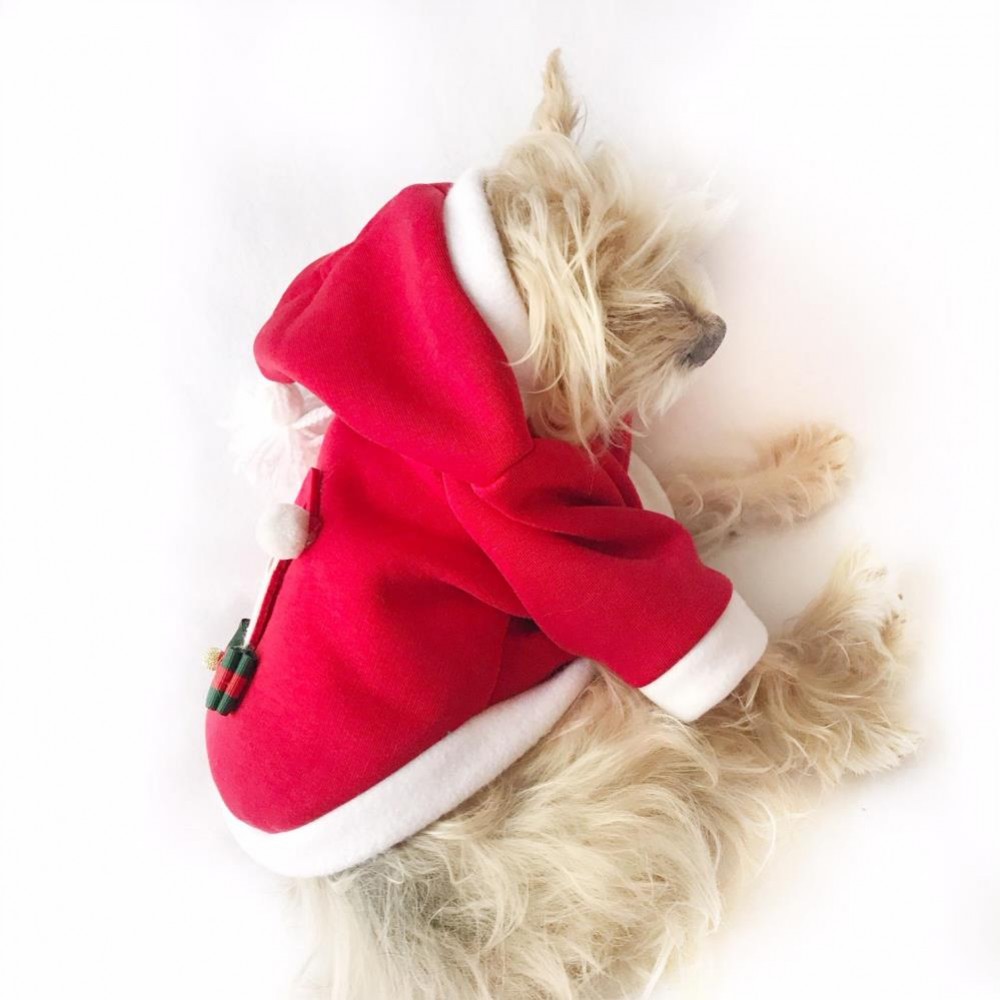 yılbaşı köpek kıyafeti