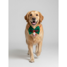 Noel Baba Köpek Papyon Tasması |  Yeşil Kırmızı Fiyonk Boyun Aksesuarı | Noel Temalı Köpek Süsü | Orta ve Büyük Irklar İçin