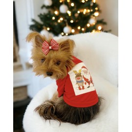 Santa and Friend Rudolph  Köpek Tişörtü Yılbaşı Noel Christmas Köpek Elbisesi