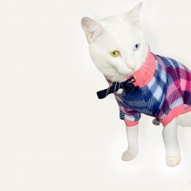 Mini Suqare Pie Kapşonlu Sweatshirt Ceket Kedi Süeteri Kıyafeti 