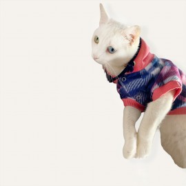 Mini Suqare Pie Kapşonlu Sweatshirt Ceket Kedi Süeteri Kıyafeti 