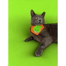 Green Bunny Kedi Bandana, Fular, Kedi Kıyafeti Kedi Elbisesi, Kedi Tasması