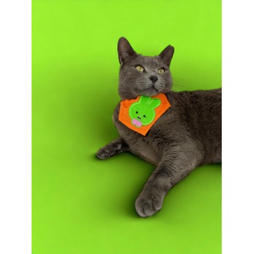 Green Bunny Kedi Bandana, Fular, Kedi Kıyafeti Kedi Elbisesi, Kedi Tasması
