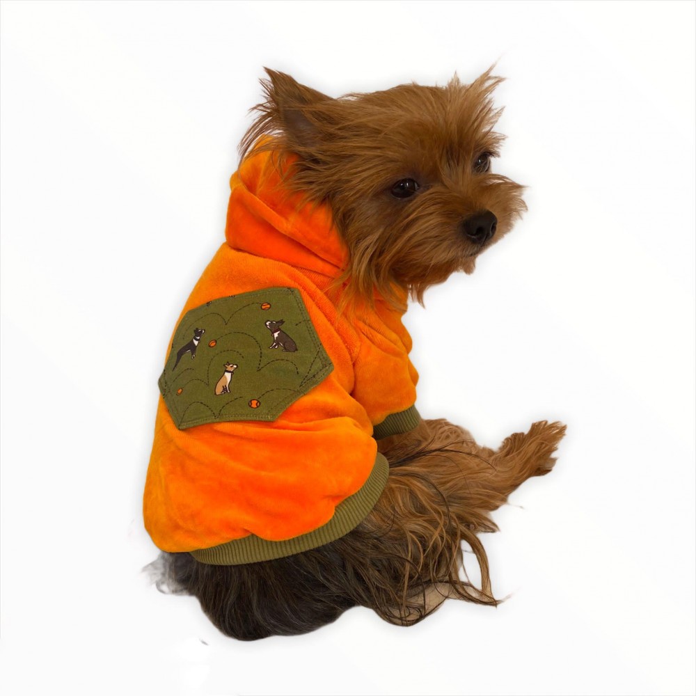Orange Green Pocket Kapşonlu Sweat by Kemique Köpek Kazağı