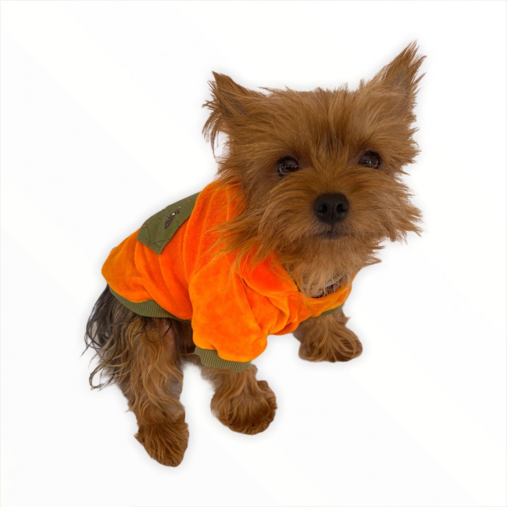 Orange Green Pocket Kapşonlu Sweat by Kemique Köpek Kazağı