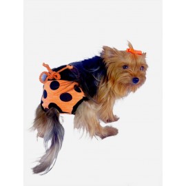 Orange Mega Dots Kemique's Secret Köpek İç Çamaşırı Regl Külot Don