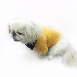 Orange Skies Polo Yaka Tişört Köpek Kıyafeti  Köpek Elbisesi