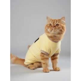 Pastel Sarı Sunny Cake  İnce kadife Kedi Tulum Pijama