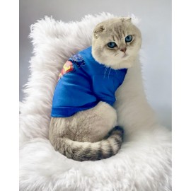 Mavi Superman Kedi Tişörtü Kedi Kıyafeti Kedi Elbisesi