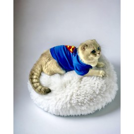 Mavi Superman Kedi Tişörtü Kedi Kıyafeti Kedi Elbisesi