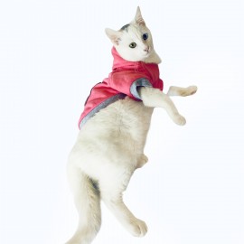 Pembe Baykuş Sweatshirt Kedi Süeteri Kedi Kıyafeti 