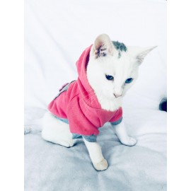 Pembe Baykuş Sweatshirt Kedi Süeteri Kedi Kıyafeti 