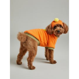 Pineapple and Ice Cream Turuncu Haki Bereli  Köpekler İçin Polar Sweatshirt Takım