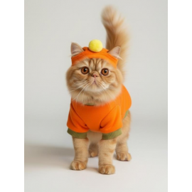 Pineapple and Ice Cream Turuncu Haki Kedi Polar Sweatshirt ve Bere Takım Kedi Kıyafeti