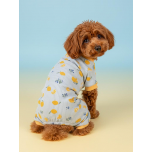 Pineapple Summer Penye Köpek Tulumu | Desenli Köpek Pijaması | Küçük Irklar İçin