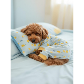 Pineapple Summer Penye Köpek Uyku Takımı | Küçük Irklar İçin | Ananas Desenli | Tüy Dökülmesini Azaltır 