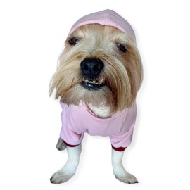 Pink Burgundy Bee Kapşonlu Sweatshirt Köpek Kıyafeti 