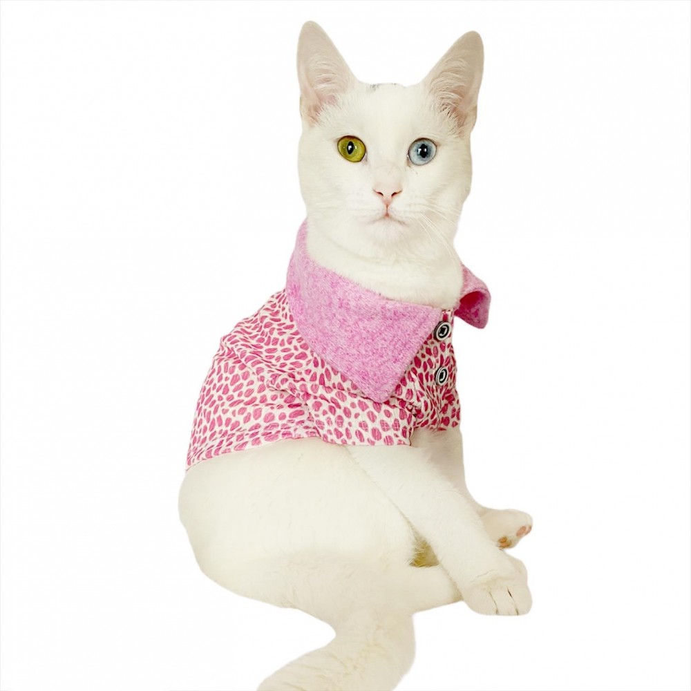 Pink Leo Cutie Polo Yaka Tişört Kedi Kıyafeti  Kedi Elbisesi