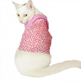 Pink Leo Cutie Polo Yaka Tişört Kedi Kıyafeti  Kedi Elbisesi