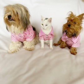 Pink Leo Cutie Polo Yaka Tişört Köpek Kıyafeti Köpek Elbisesi