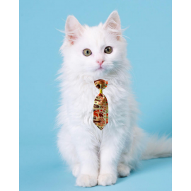 Fox Kedi Kravatı Kedi Aksesuarı