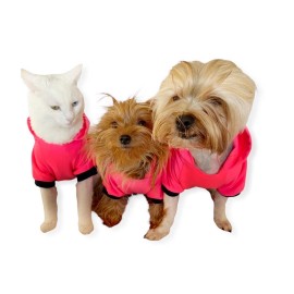 Pink Stars Kapşonlu Sweatshirt  Kedi Kıyafeti 