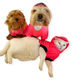 Pink Stars Kapşonlu Sweatshirt  Kedi Kıyafeti 