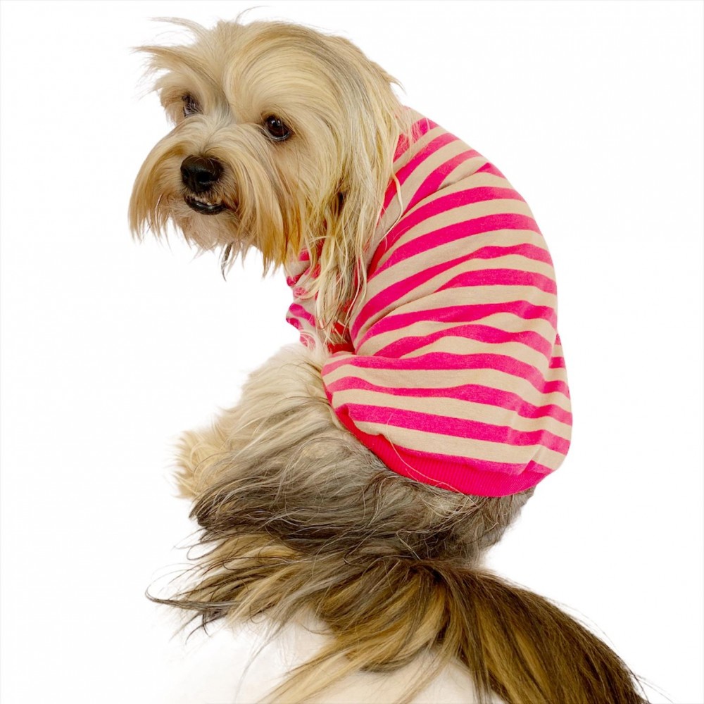 Pinky Grey Stripe Oval Yaka Tişört Köpek Kıyafeti Köpek Elbisesi