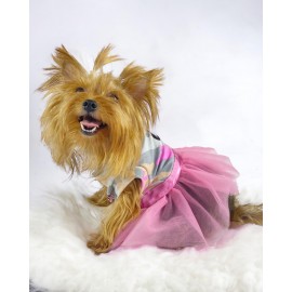 Pinky Minnie Tütülü Köpek Elbisesi, Kıyafeti Tutu