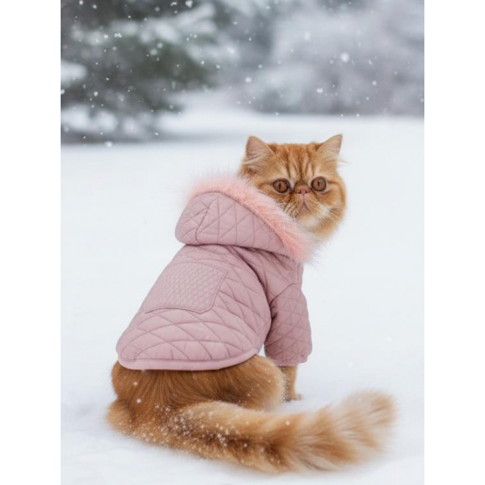 Pinky Pie Pembe Kedi Montu Kışlık Ceket 