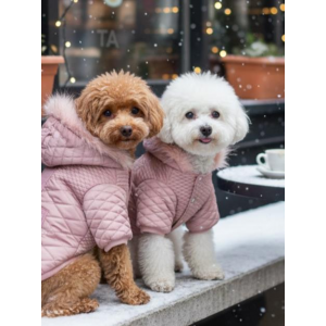 Pinky Pie Pembe Köpek Montu Kışlık Ceket 