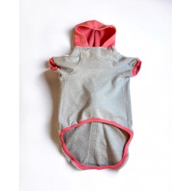 Pocket Rainbow Sweatshirt Orta ve Büyük Irklar İçin