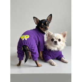 Butterfly Violet Köpek Tulumu | Mor Renk 3D Yumuşak Kelebek Aksesuarlı Penye Köpek Kıyafeti