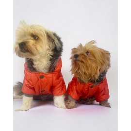 Luxy Orange Köpek Montu, Köpek Ceketi, Köpek Dış Giyim